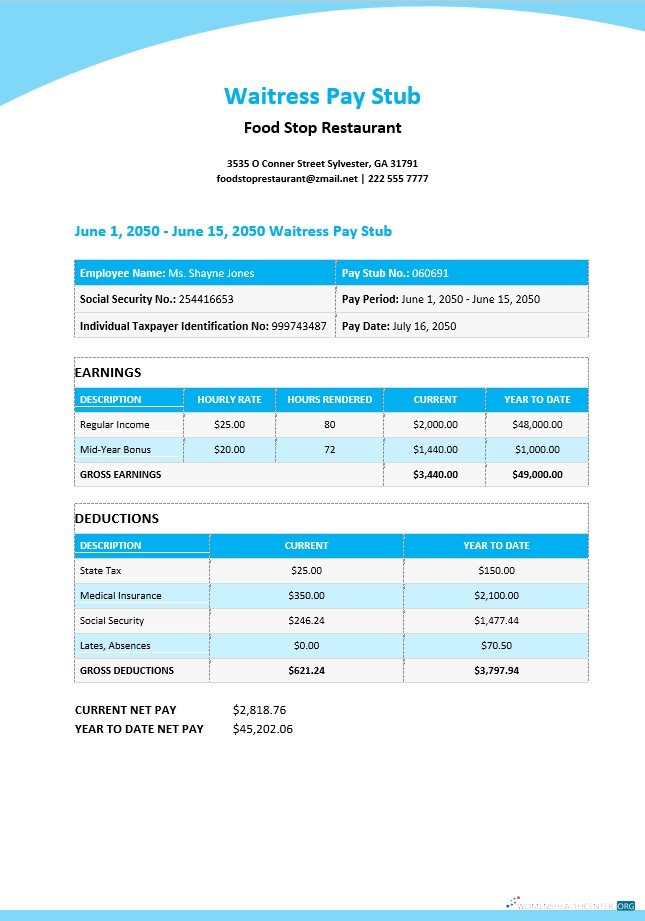 Download Waitress Pay Stub Template Photoshop template